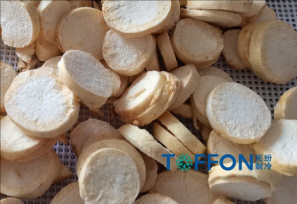 中药材冷冻干燥机应用案例解析(一)